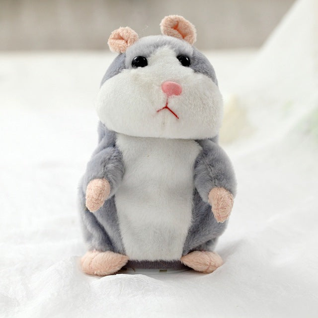 First hamster
