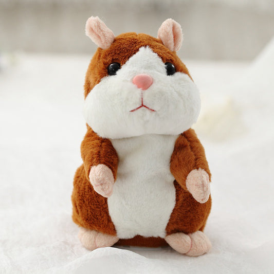 First hamster