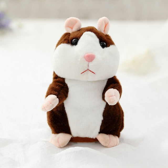 First hamster